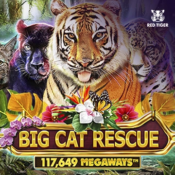 Big Cat Rescue Megaways - FULLBET138