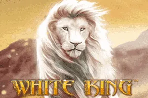 White King - FULLBET138