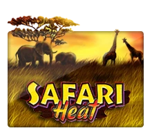 Joker123 : Safari Heat - FULLBET138
