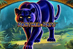 Panther Pays - FULLBET138
