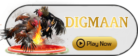 Digman - FULLBET138