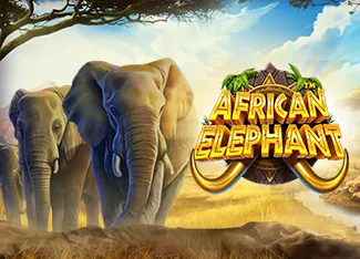 Pragmatic : African Elephant - FULLBET138